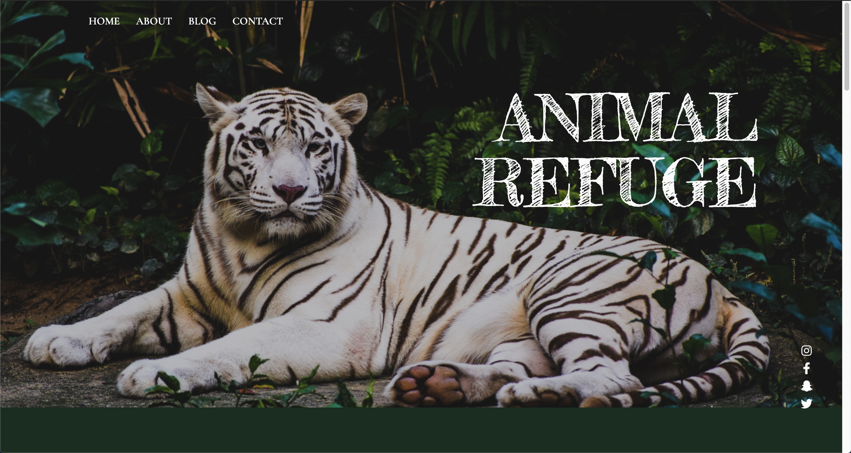 Animal Refuge website with white tiger as background